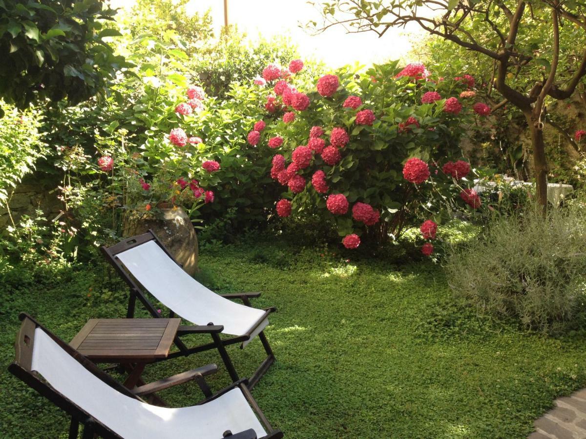 Il Giardino Incantato 몬테로소 알 마레 외부 사진